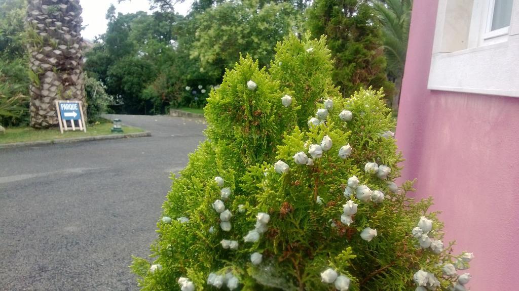 فندق سينترافي  Quinta De Sao Francisco المظهر الخارجي الصورة